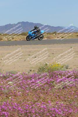 media/Mar-12-2023-SoCal Trackdays (Sun) [[d4c8249724]]/Turn 15 Inside Bloom (130pm)/